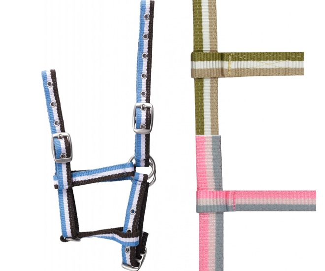 CAPEZZA FOAL PULEDRO STRIPES Capezze Nylon 